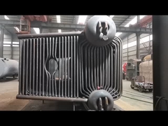 دیگ بخار با لوله آب زغال سنگ زنجیری TAIGUO دیگ بخار بیوماس