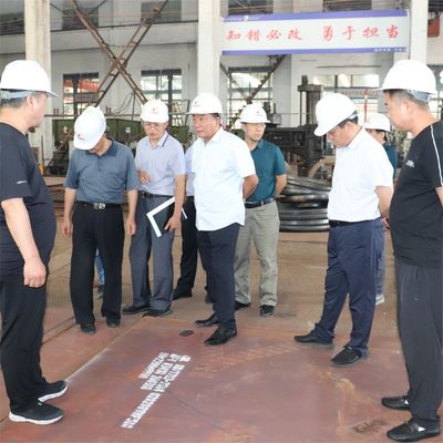 High Efficiency Chain Grate Biomass Steam Industrial Boiler Straw Fuel